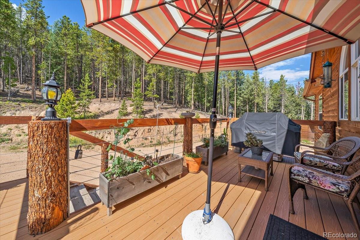 9001 South Warhawk Road Conifer, CO 80433 - Photo 33 of 40