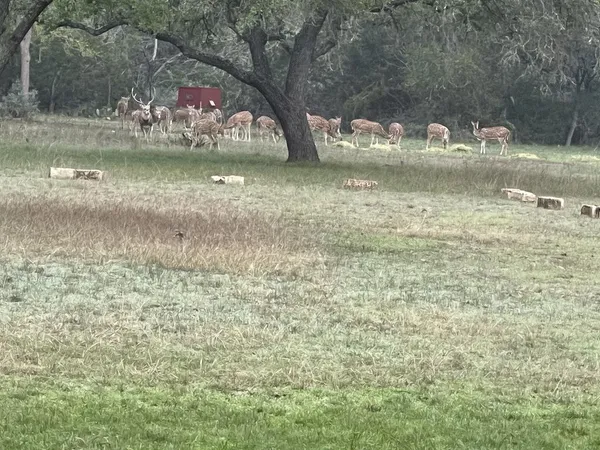 $1,500,000 | 196 Rock Bottom Road, Hunt, TX 78024