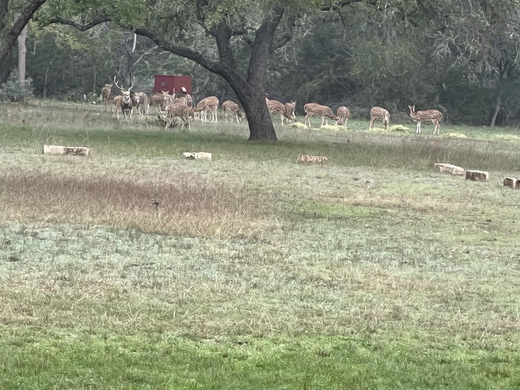 196 Rock Bottom Road Hunt, TX 78024 - Photo 42 of 44