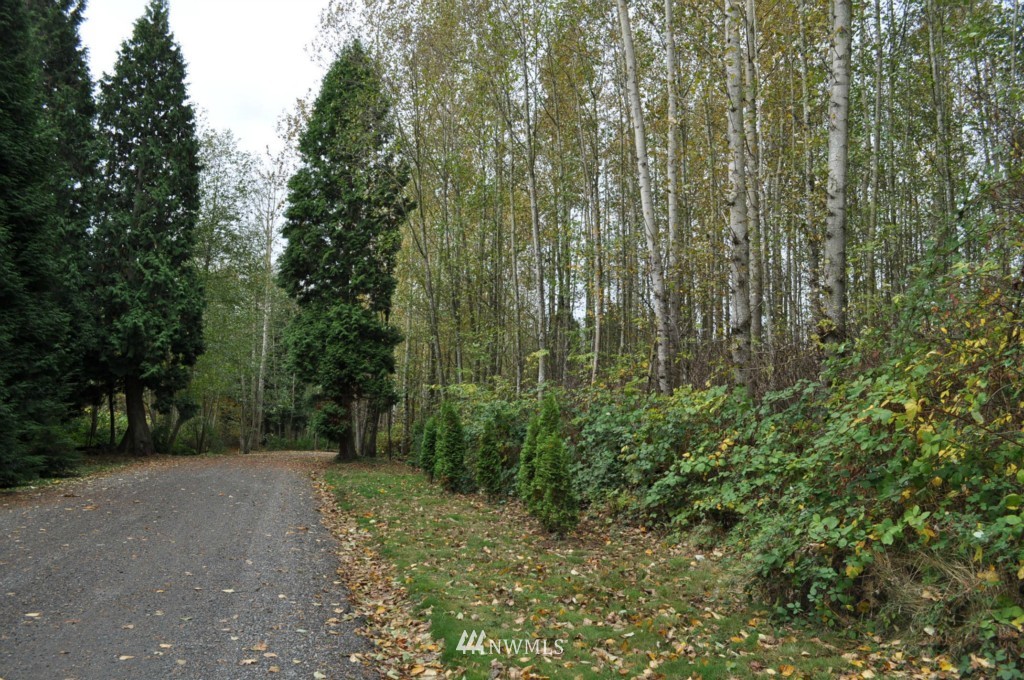 5205 Olson Road Ferndale, WA 98248 - Photo 5 of 10