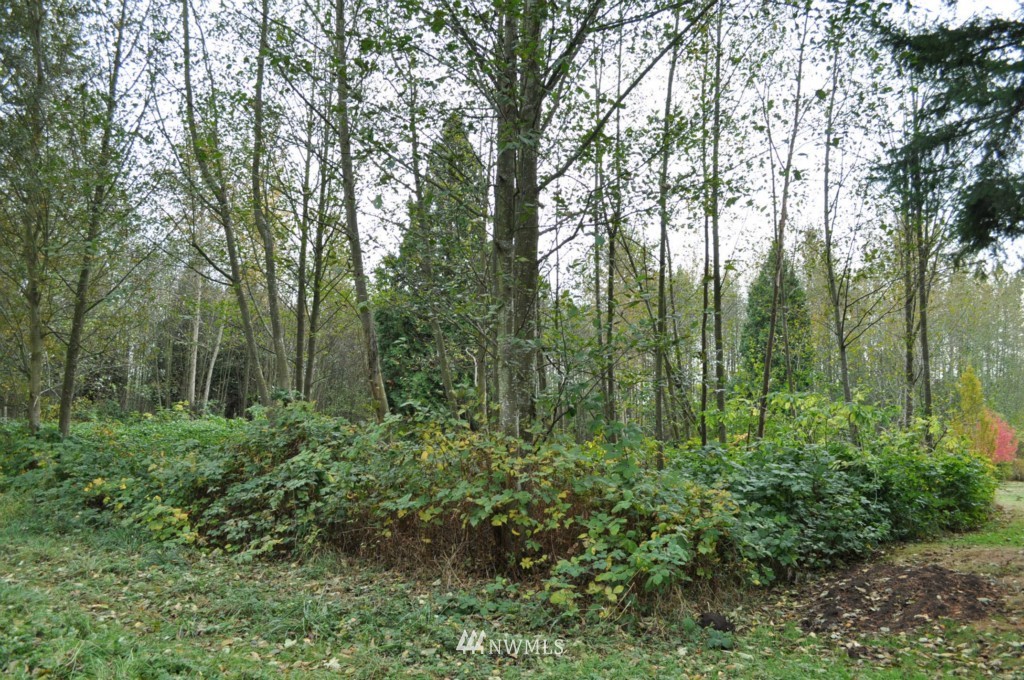 5205 Olson Road Ferndale, WA 98248 - Photo 6 of 10