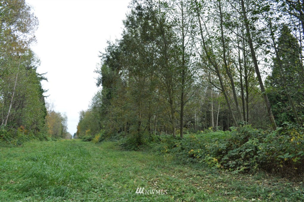 5205 Olson Road Ferndale, WA 98248 - Photo 7 of 10