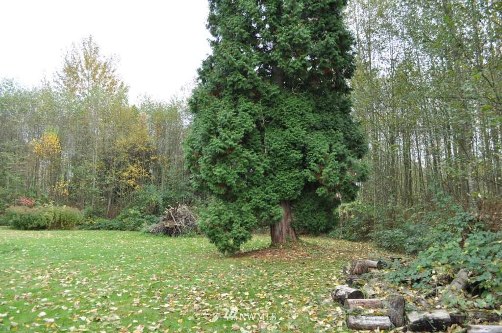 5205 Olson Road Ferndale, WA 98248 - Photo 9 of 10