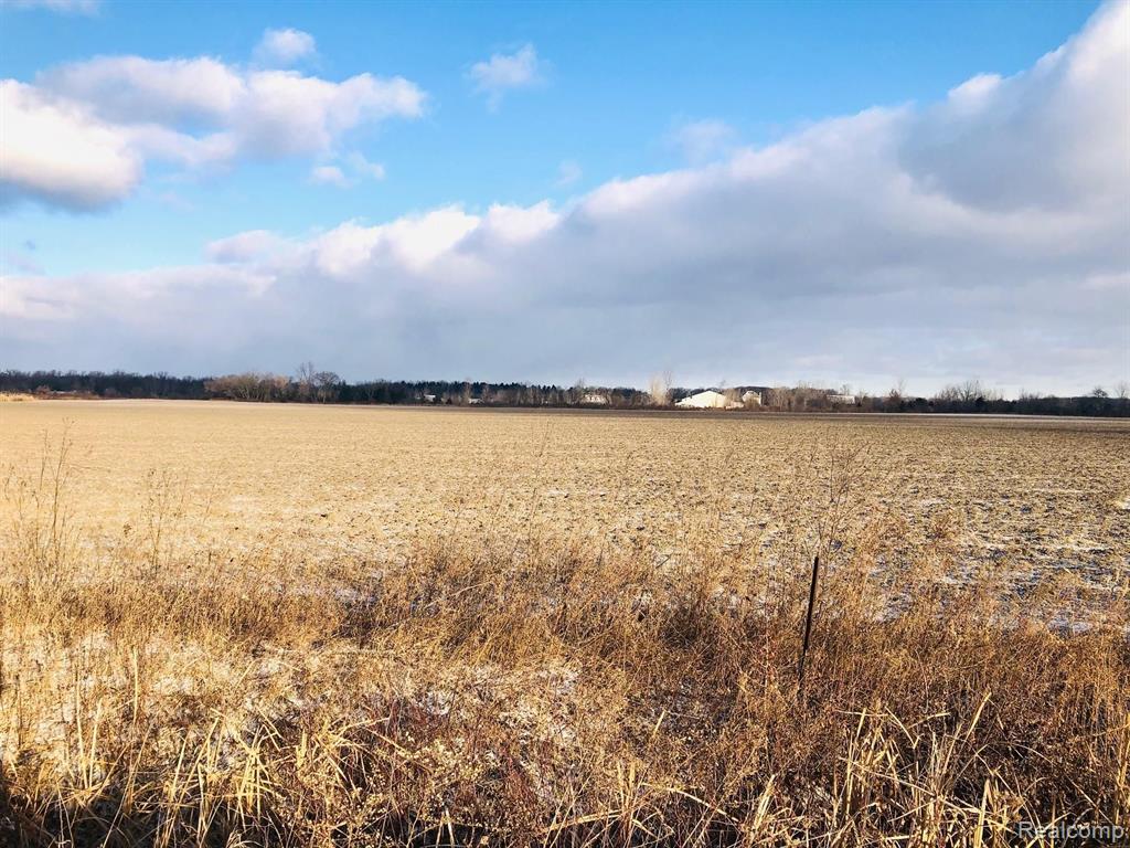 0 West Newburg Road Carleton, MI 48117 - Photo 2 of 2