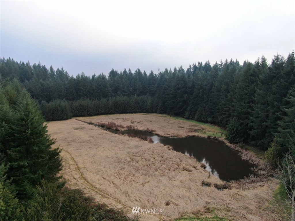 14625 Reeder Road Southwest Tenino, WA 98589 - Photo 3 of 20 a view of a dry yard with trees in the background
