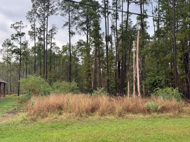 a view of outdoor space and green space