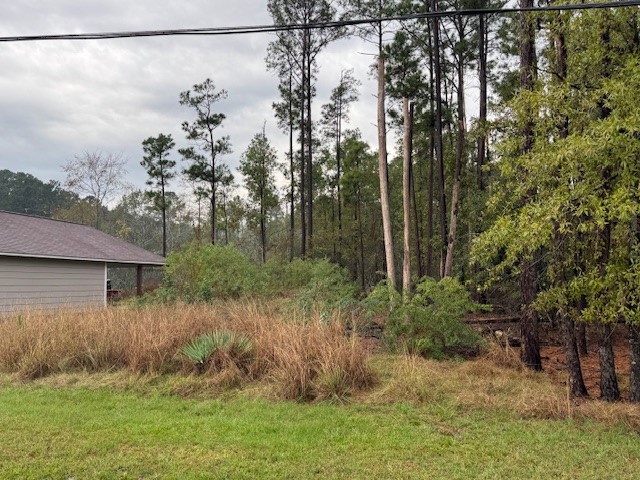 10 Trail Lake Trinity, TX 75862 - Photo 5 of 6 a view of a outdoor space