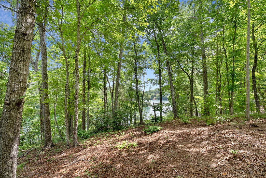913 Rippling Water Way Salem, SC 29676 - Photo 11 of 15