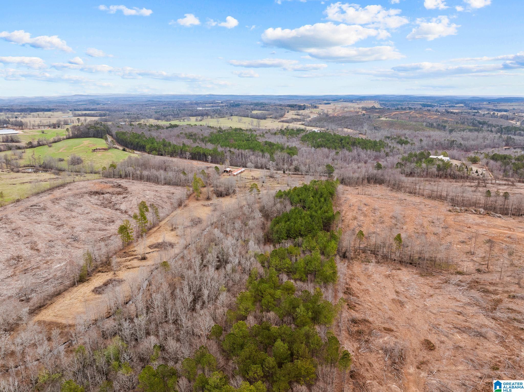 2885 McKay Road Delta, AL 36258 - Photo 54 of 56