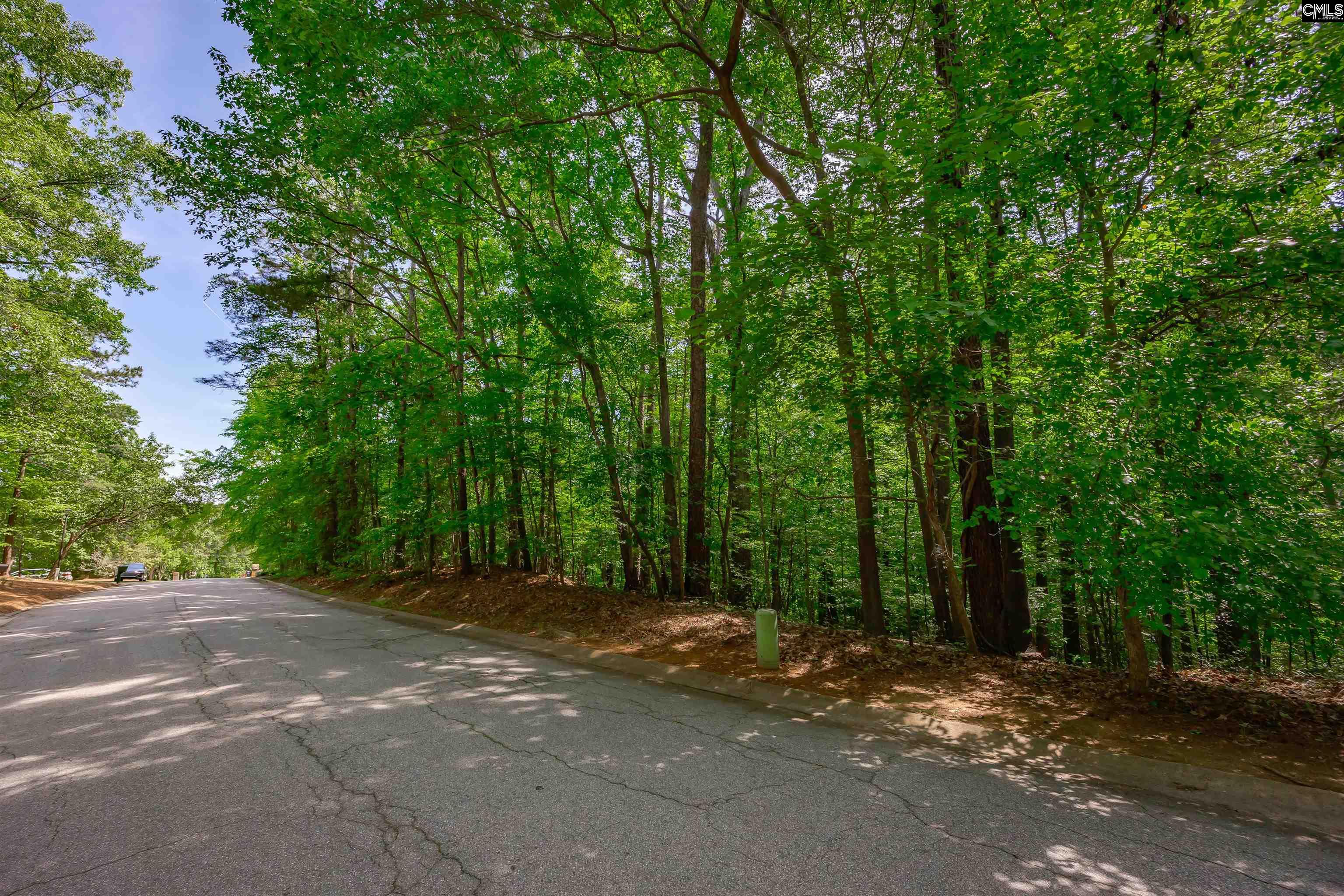 128 Holly Ridge Lane West Columbia, SC 29169 - Photo 79 of 88