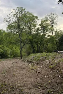 a view of a yard with a tree