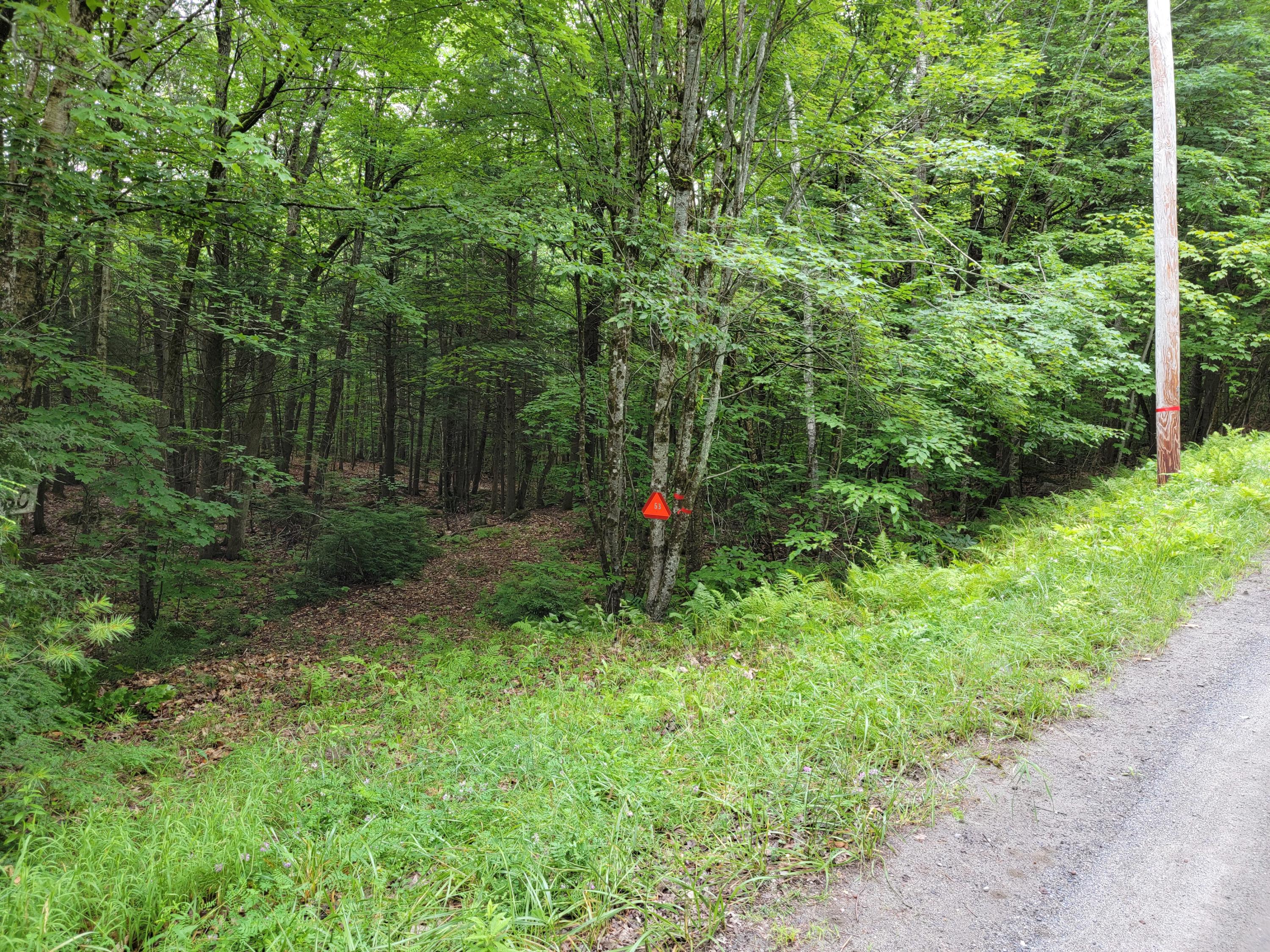 Lot 60 Shore Road Fayette, ME 04349 - Photo 12 of 12 20210715_085646