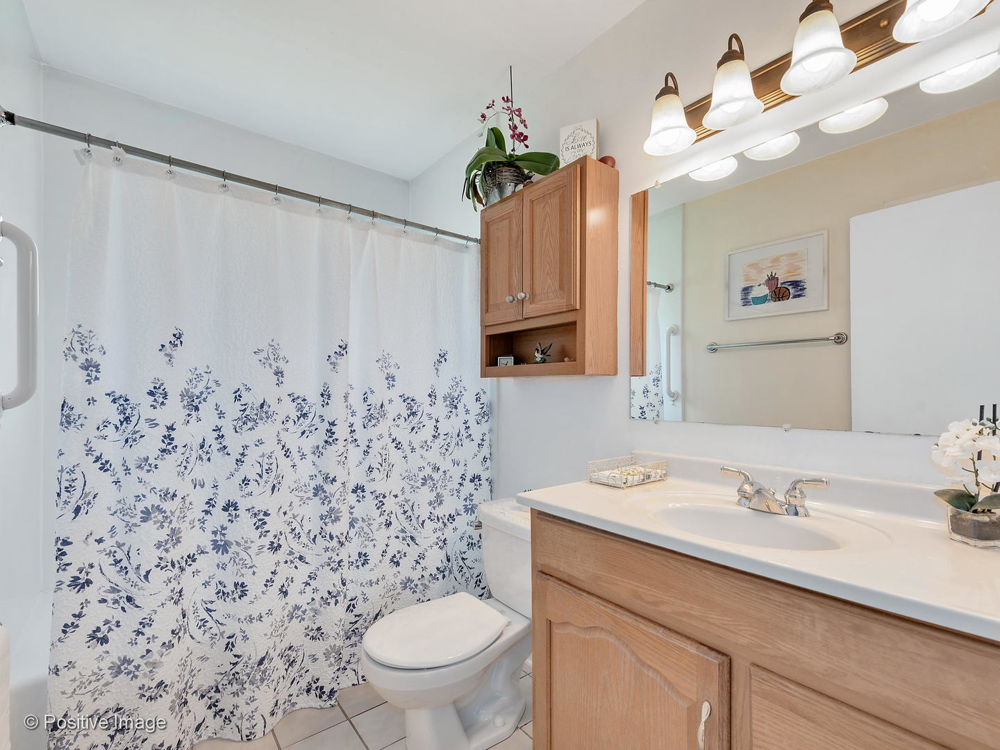 521 Ranch Road Wheaton, IL 60187 - Photo 17 of 22 a bathroom with a sink a toilet and a mirror