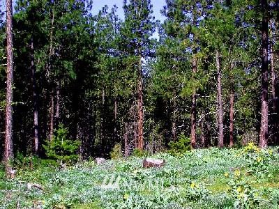 3 Off End Of Weihl Road Ronald, WA 98940 - Photo 1 of 1 Gallery Image 1