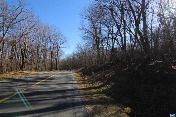a view of backyard with wooden fence and trees