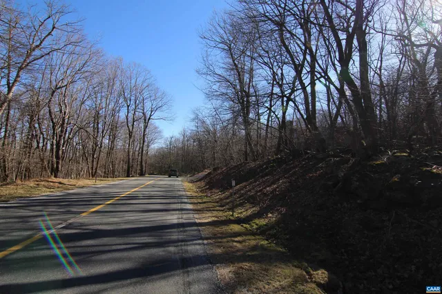 a view of backyard with wooden fence and trees