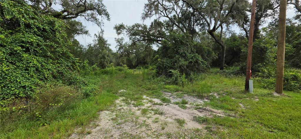 0 Round Table Road Dade City, FL 33523 - Photo 12 of 12 Gallery Image 12