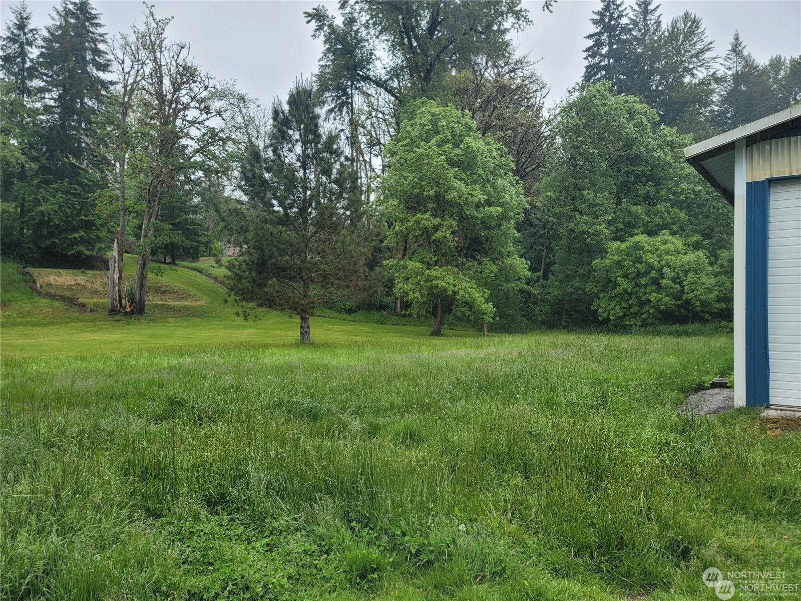 120 Wennassee Loop Silver Creek, WA 98585 - Photo 10 of 23 a view of a green field with a tree