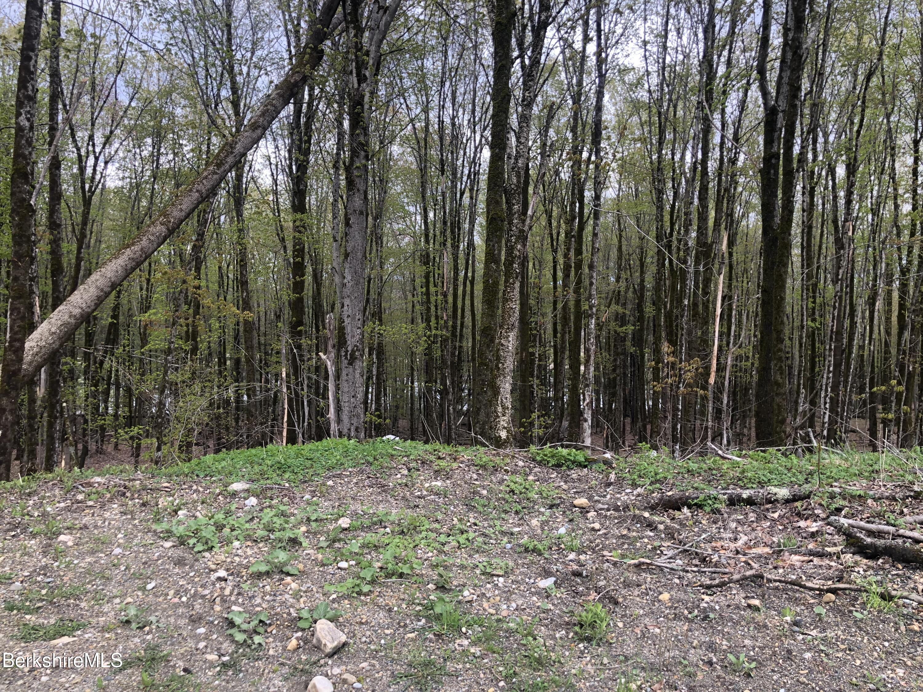 5 Watson Road Hinsdale, MA 01235 - Photo 2 of 9 a view of a yard with large trees
