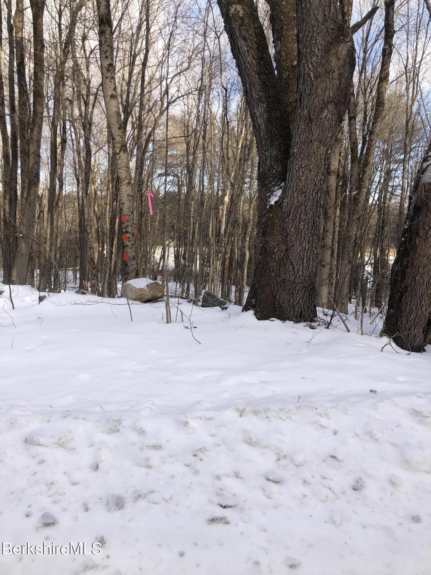 5 Watson Road Hinsdale, MA 01235 - Photo 5 of 9 a view of outdoor space with trees
