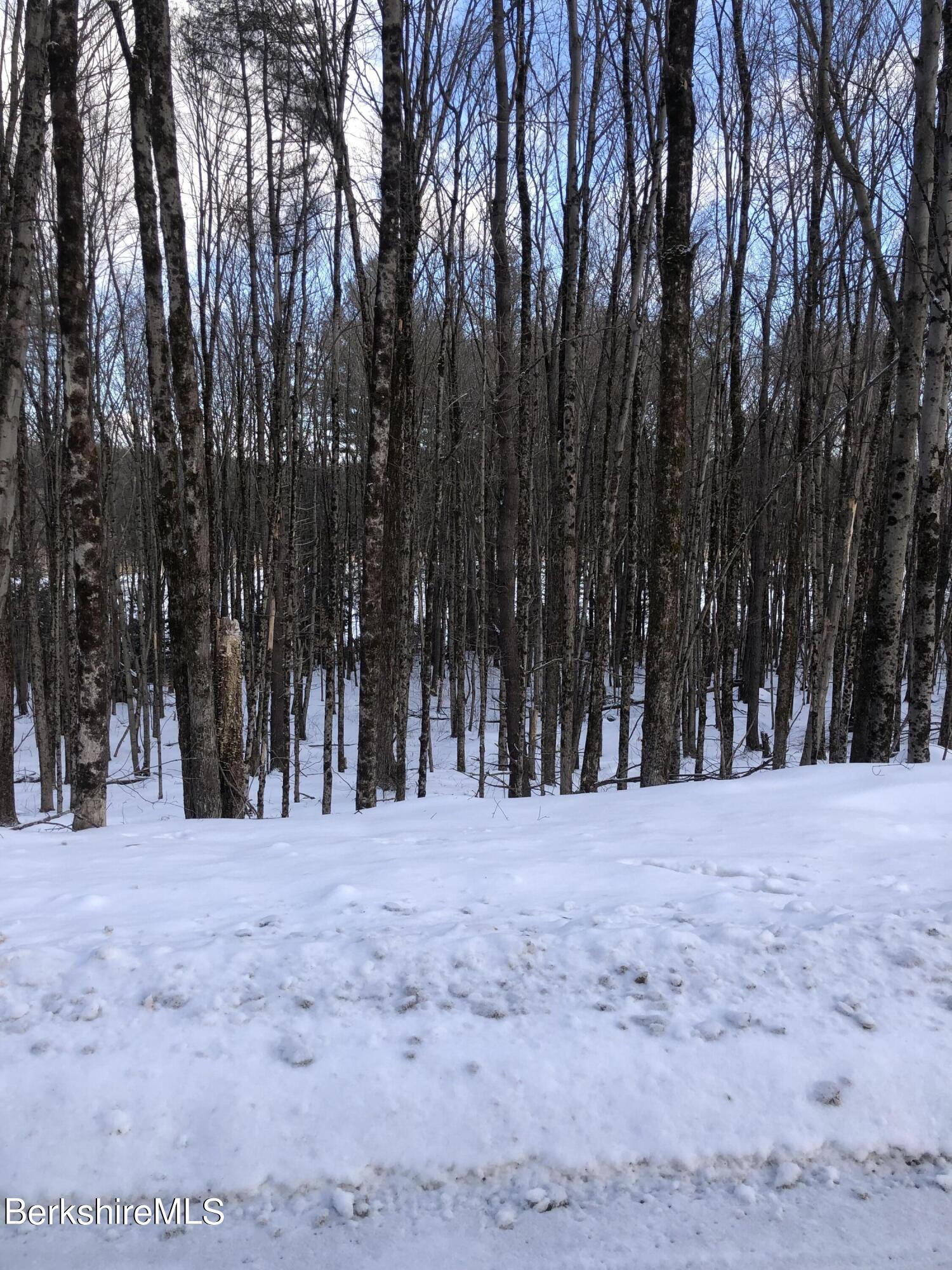 5 Watson Road Hinsdale, MA 01235 - Photo 9 of 9 a view of wooden fence and trees