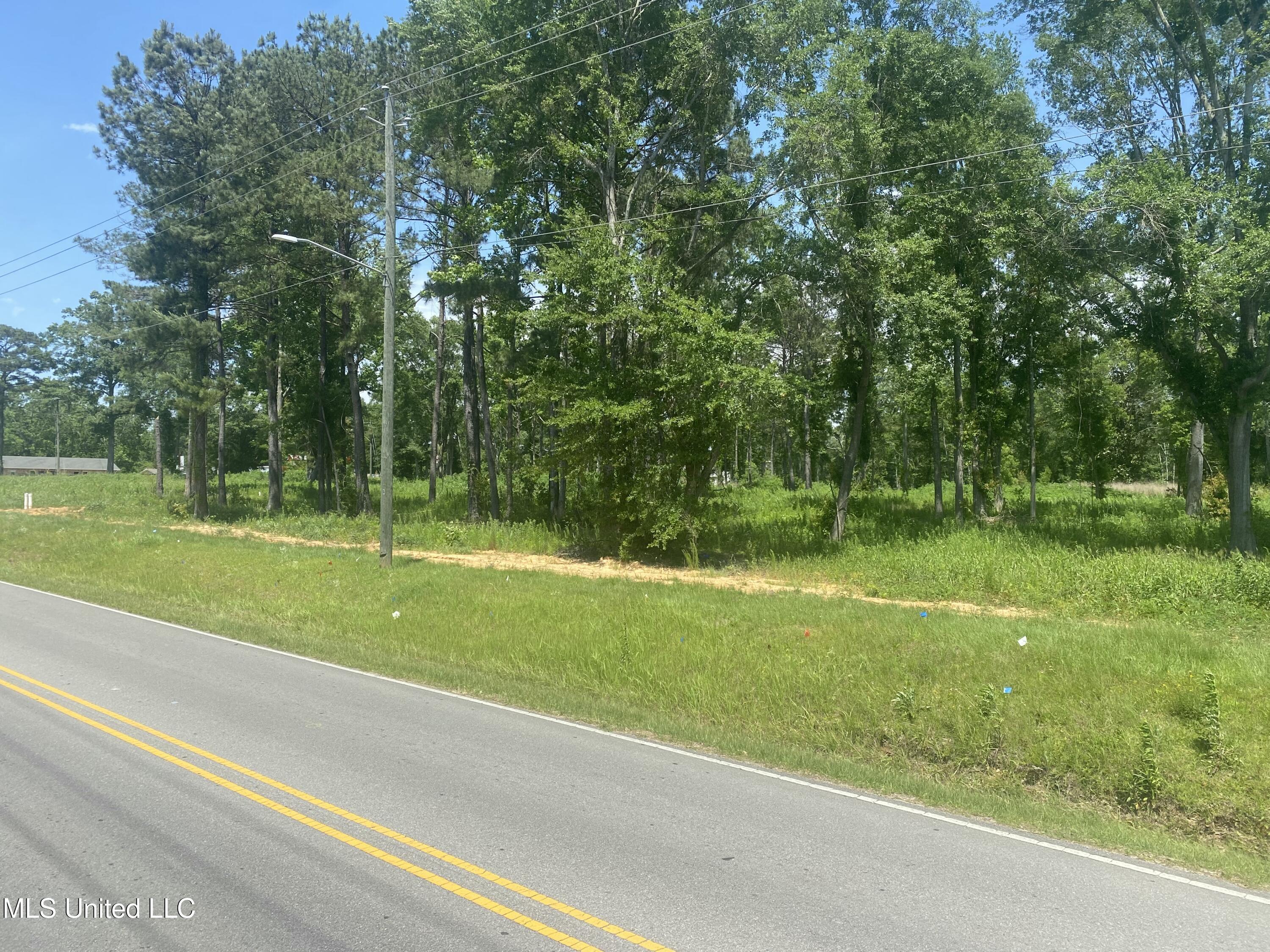 None Hall Street Wiggins, MS 39577 - Photo 2 of 5 E8B7D411-9E7F-4E43-9403-25ED20D3807F