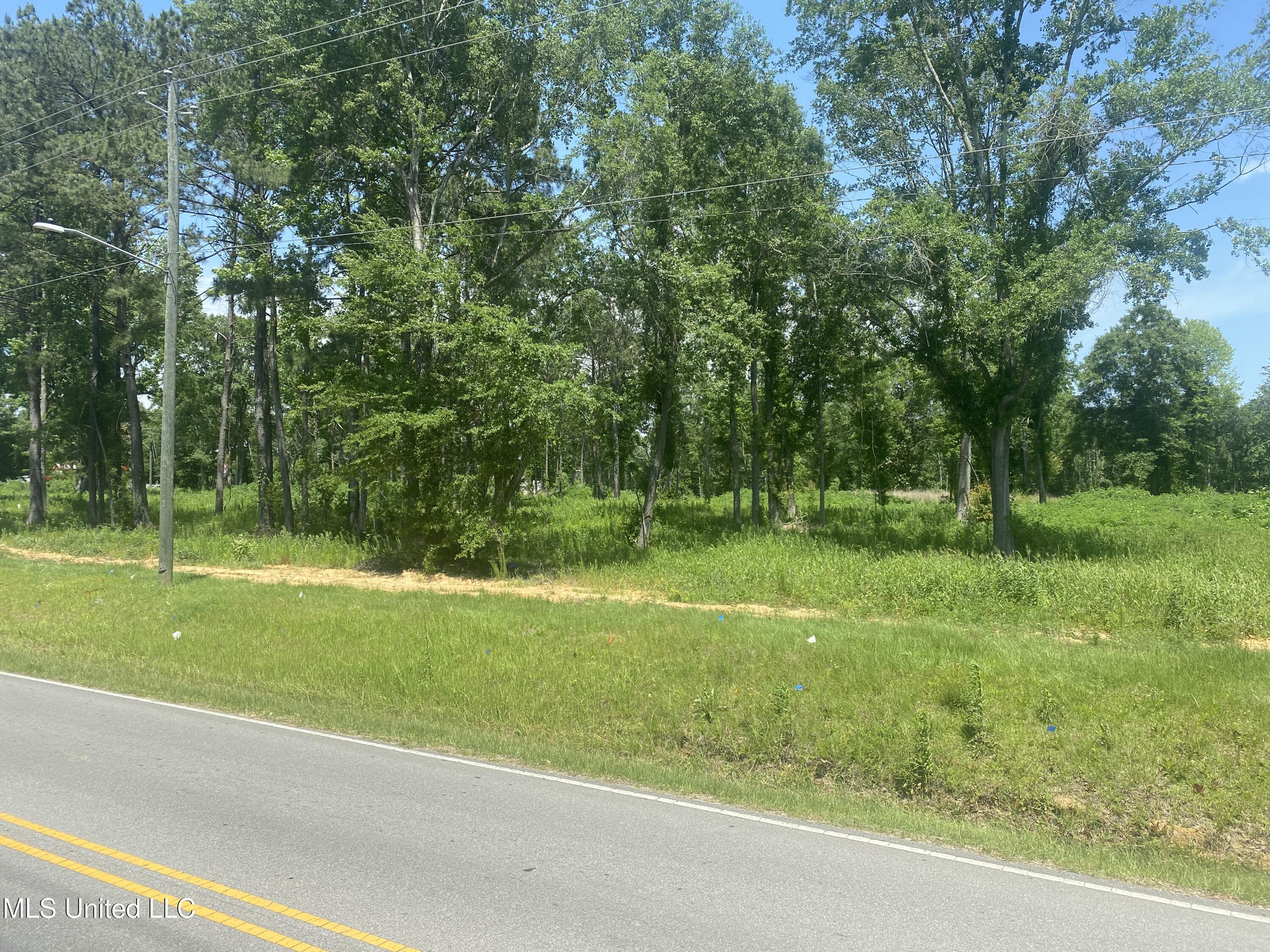 None Hall Street Wiggins, MS 39577 - Photo 3 of 5 4DF91FC3-0233-46D1-9E99-3BC5D19983D6
