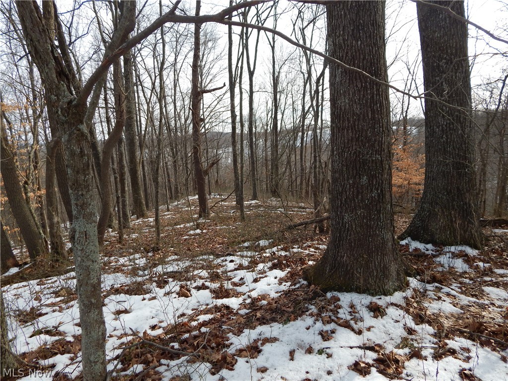 Fingerboard Road Big Springs, WV 26137 - Photo 16 of 21