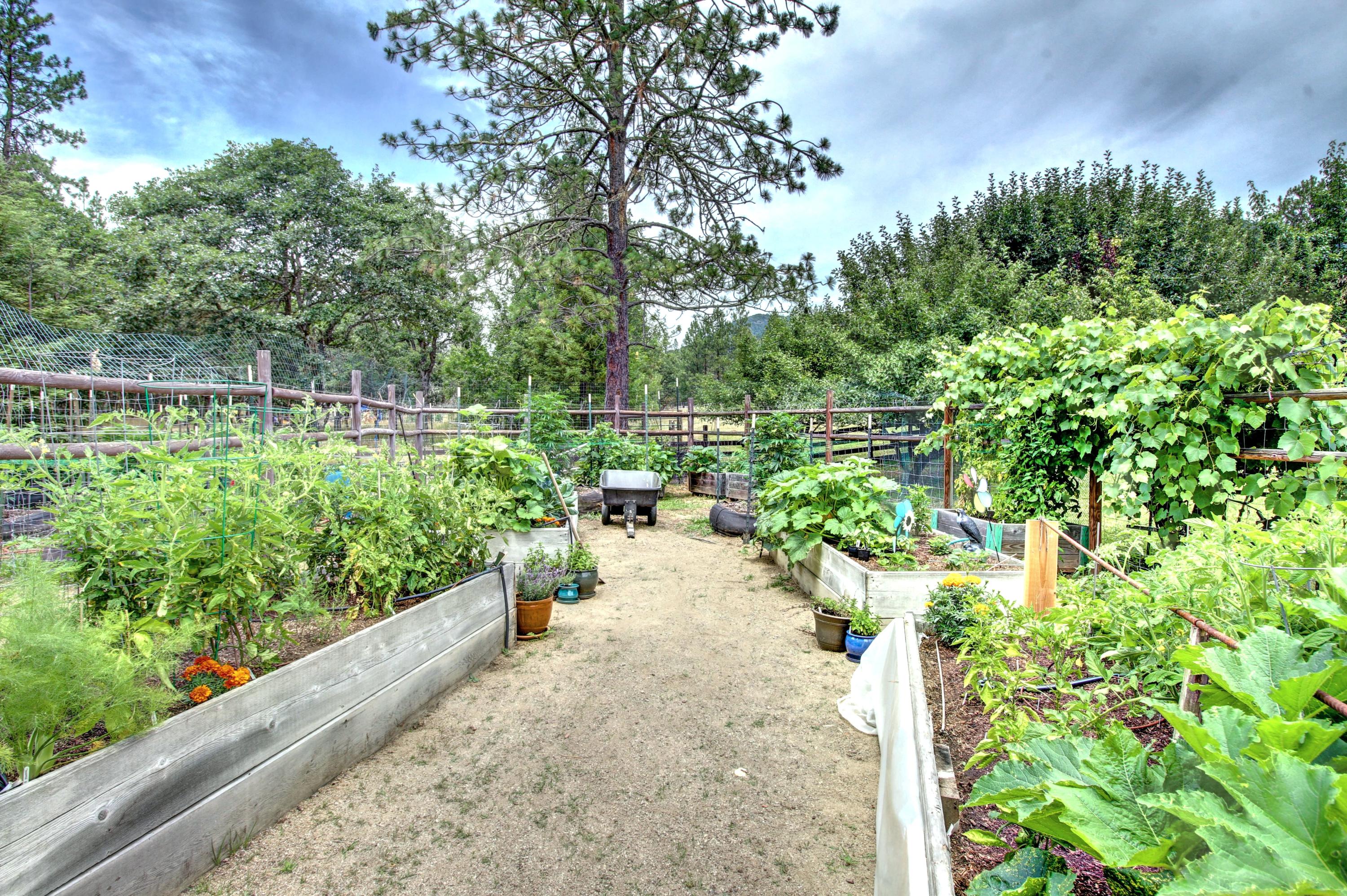 100 Springbrook Drive Grants Pass, OR 97527 - Photo 47 of 57 Garden