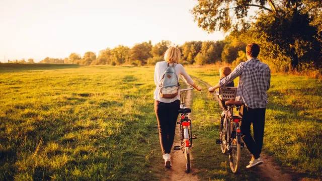 a wooden fence with large trees
