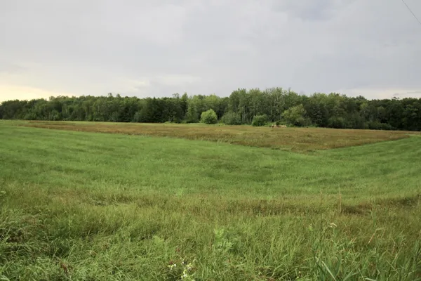 $309,000 | 16050 280th Street, Sebeka, MN 56477