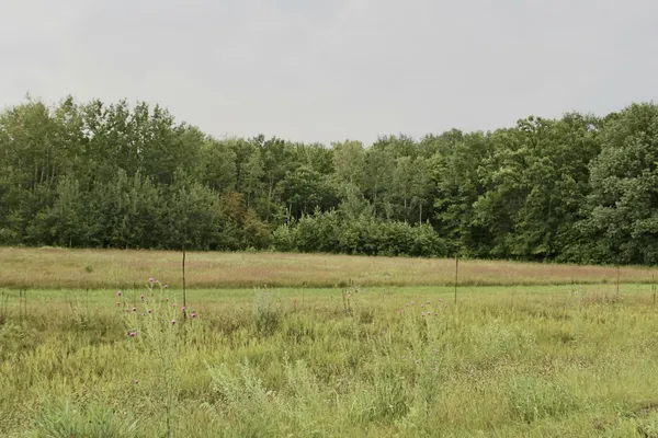 $309,000 | 16050 280th Street, Sebeka, MN 56477