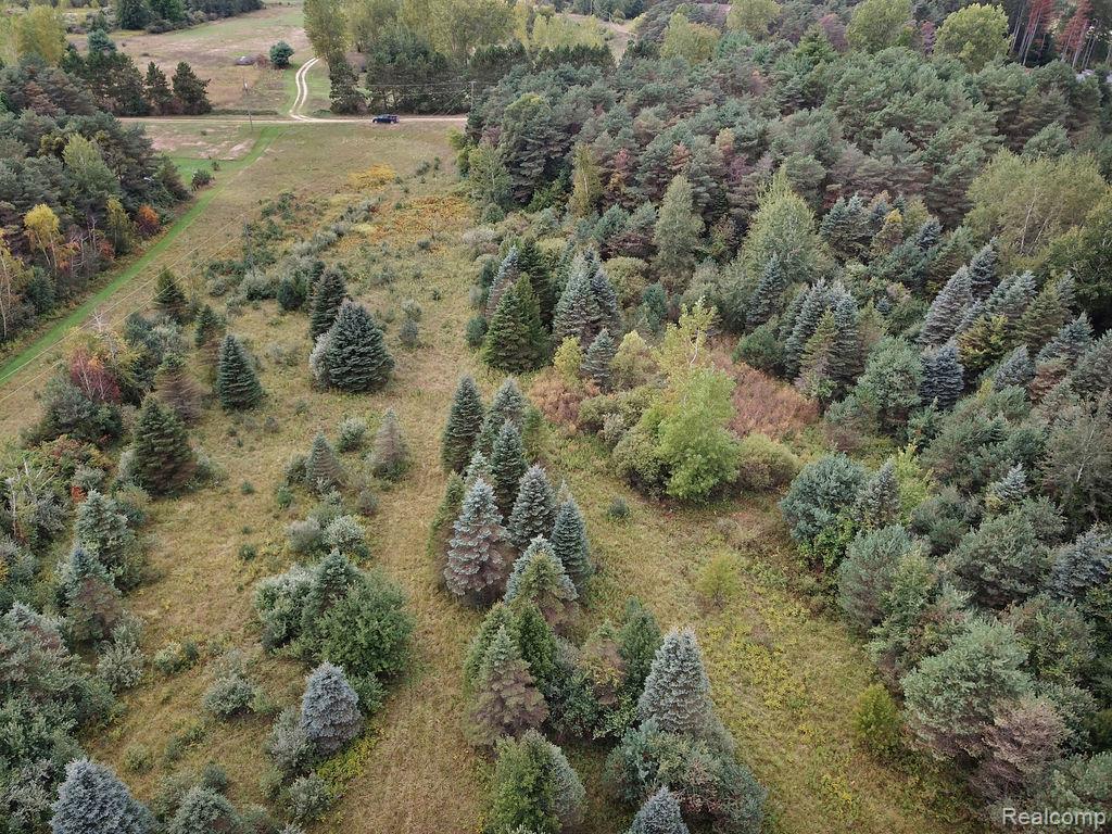 3921 Kile Road Vassar, MI 48768 - Photo 11 of 21 Gallery Image 11