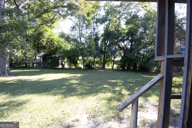 a view of a trees in a yard