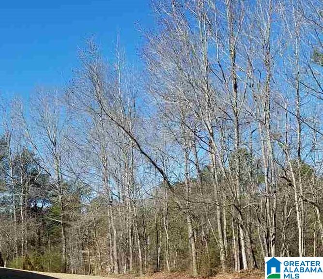 5834 Goode Road, Unit 1 67 Mount Olive, AL 35117 - Photo 1 of 1