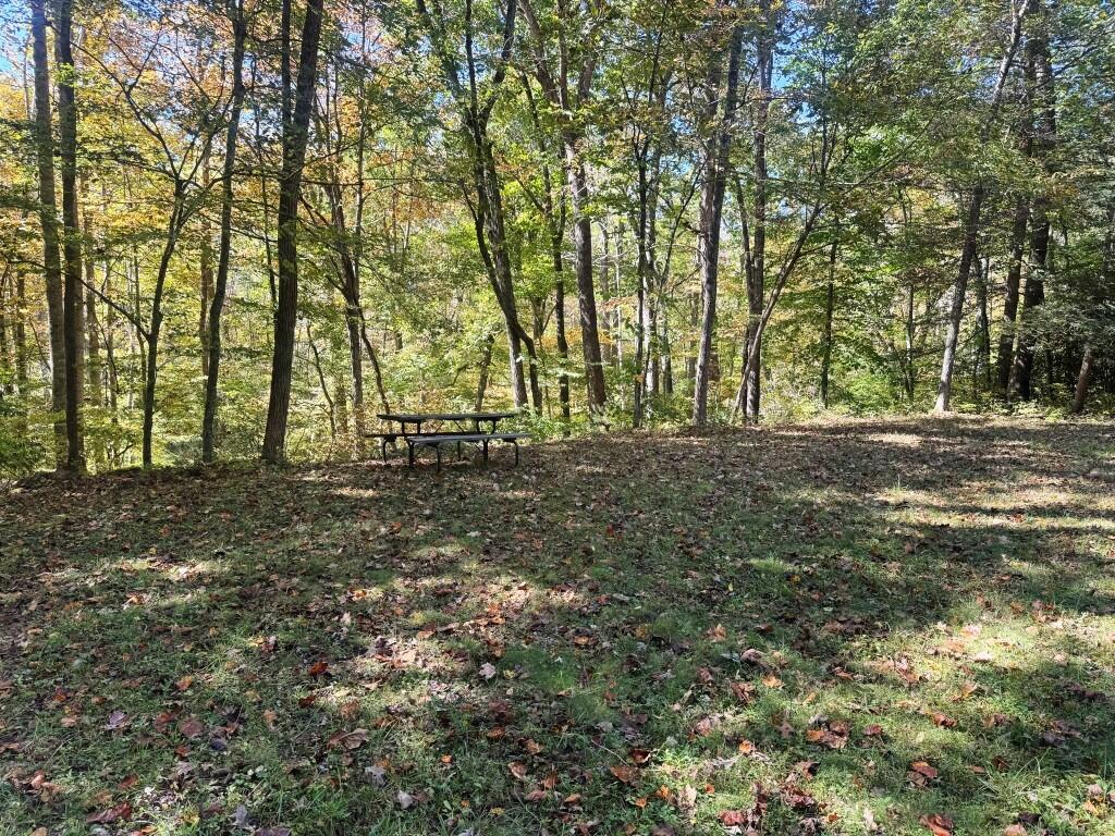 9752 Grapefield Road Bastian, VA 24314 - Photo 16 of 34 Gallery Image 16