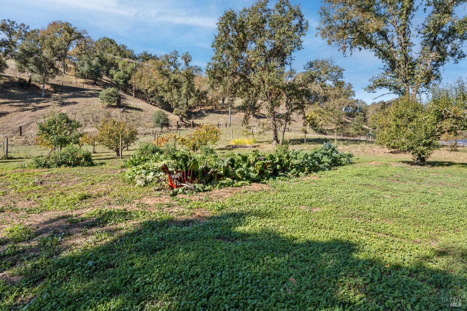 7420 Eastside Potter Valley Road Ukiah, CA 95482 - Photo 33 of 39 Fenced garden area.