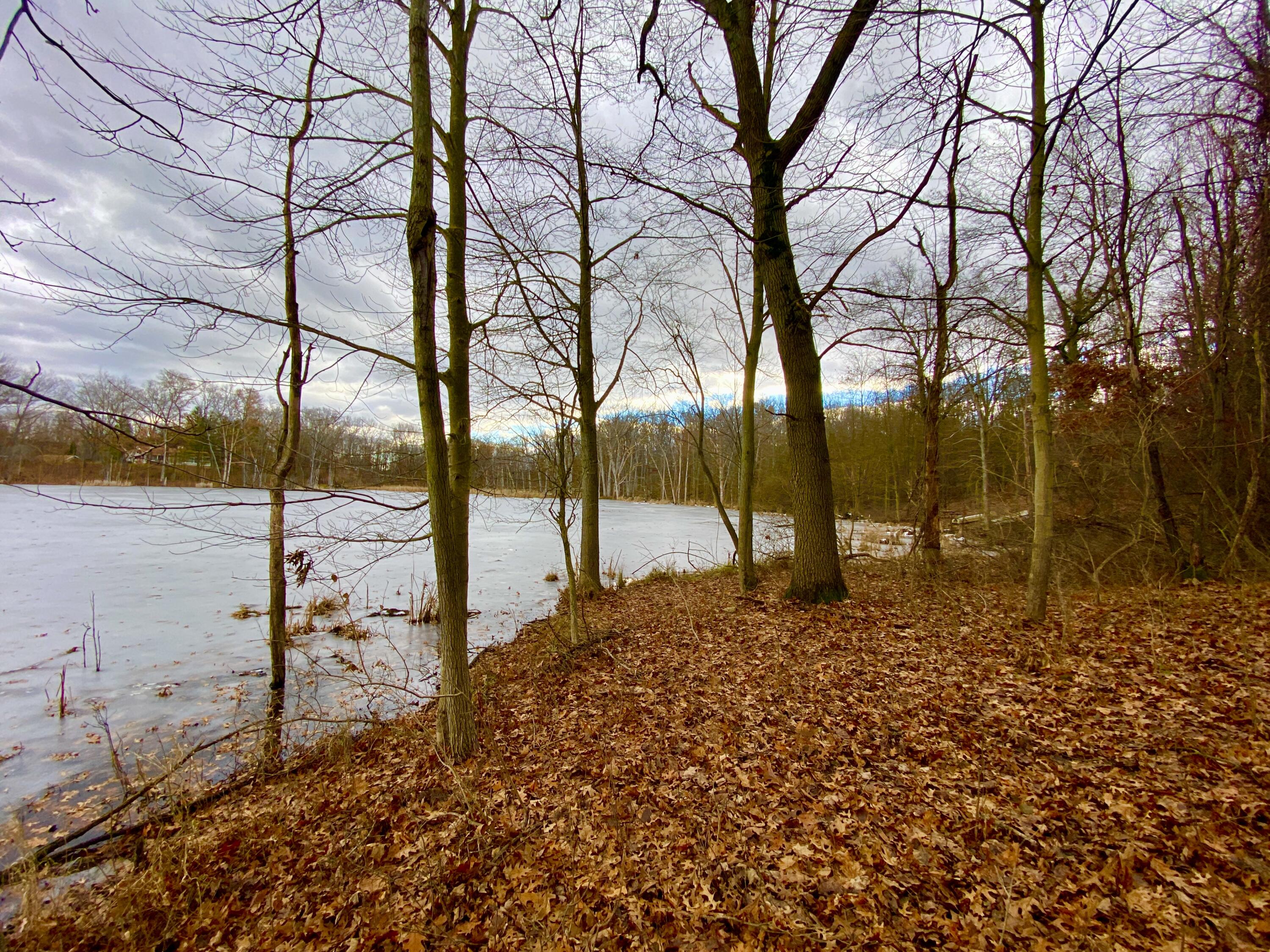 Munger Road Holly, MI 48442 - Photo 4 of 15 1
