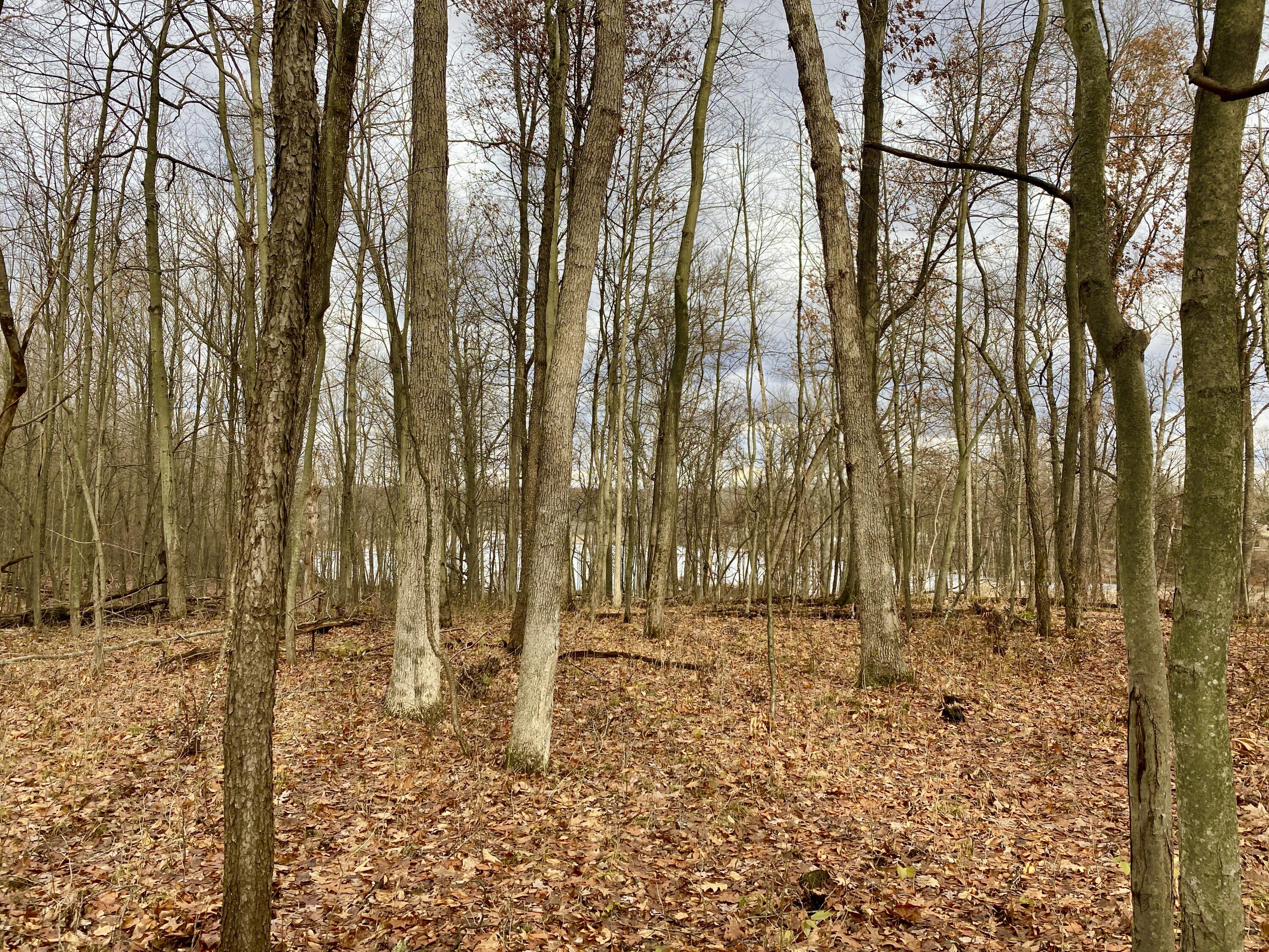 Munger Road Holly, MI 48442 - Photo 5 of 15 8