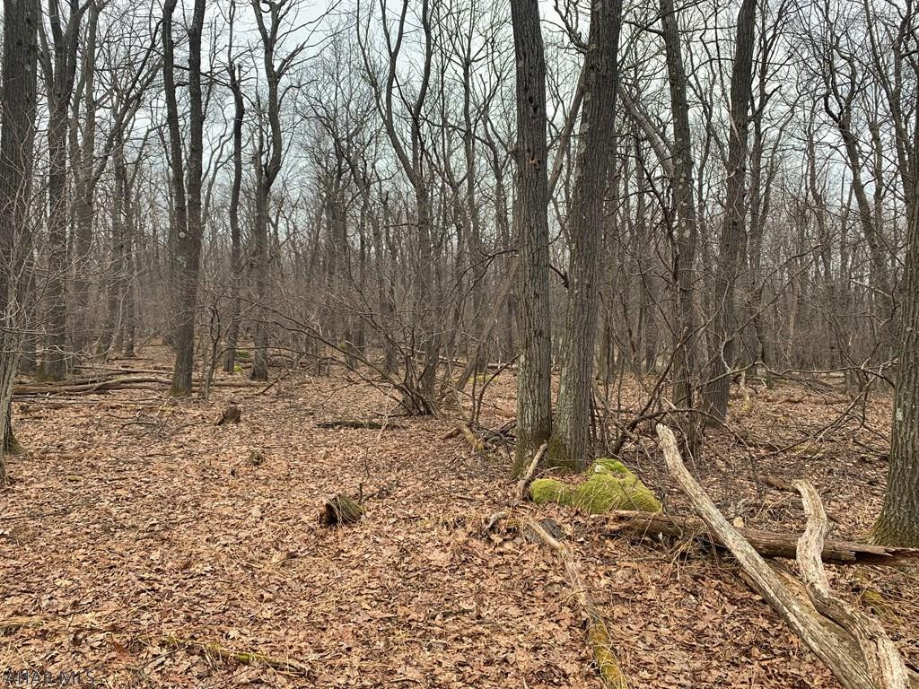 Lot 150 Shawnee View Road Central City, PA 15926 - Photo 14 of 23 Gallery Image 14
