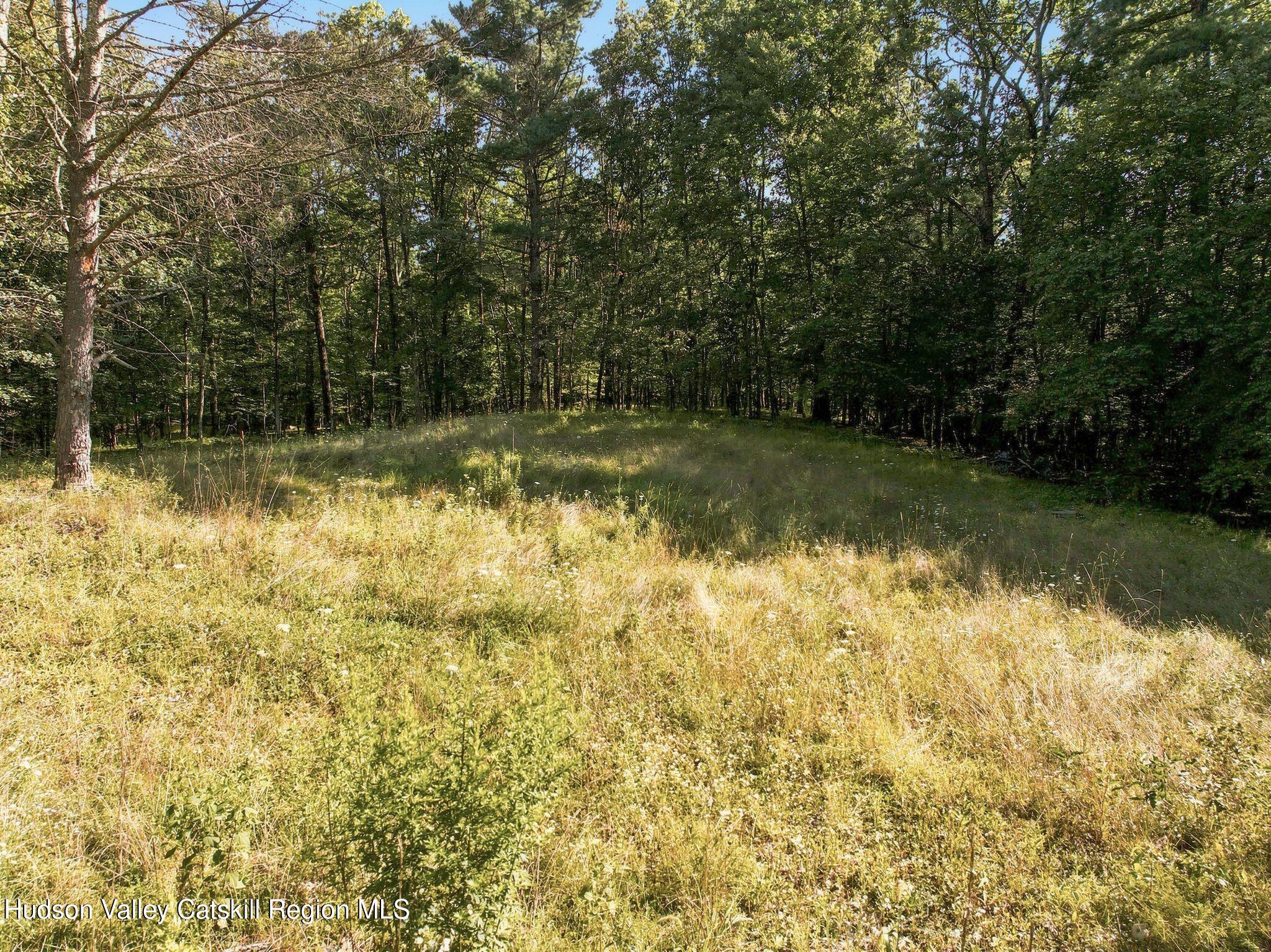 8 White Owl Road Catskill, NY 12414 - Photo 3 of 8 3