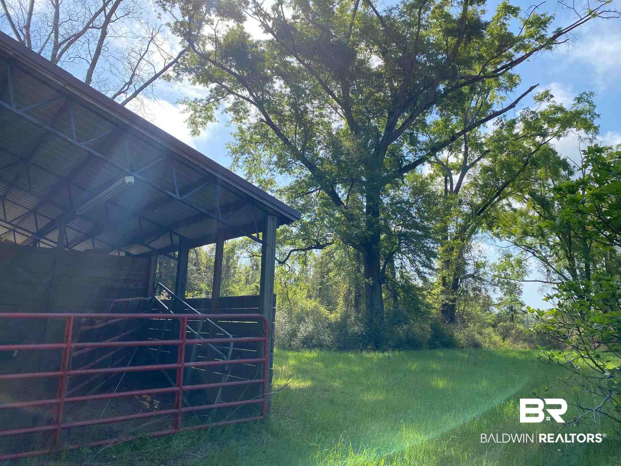1069 Cemetery Road Range, AL 36473 - Photo 15 of 26