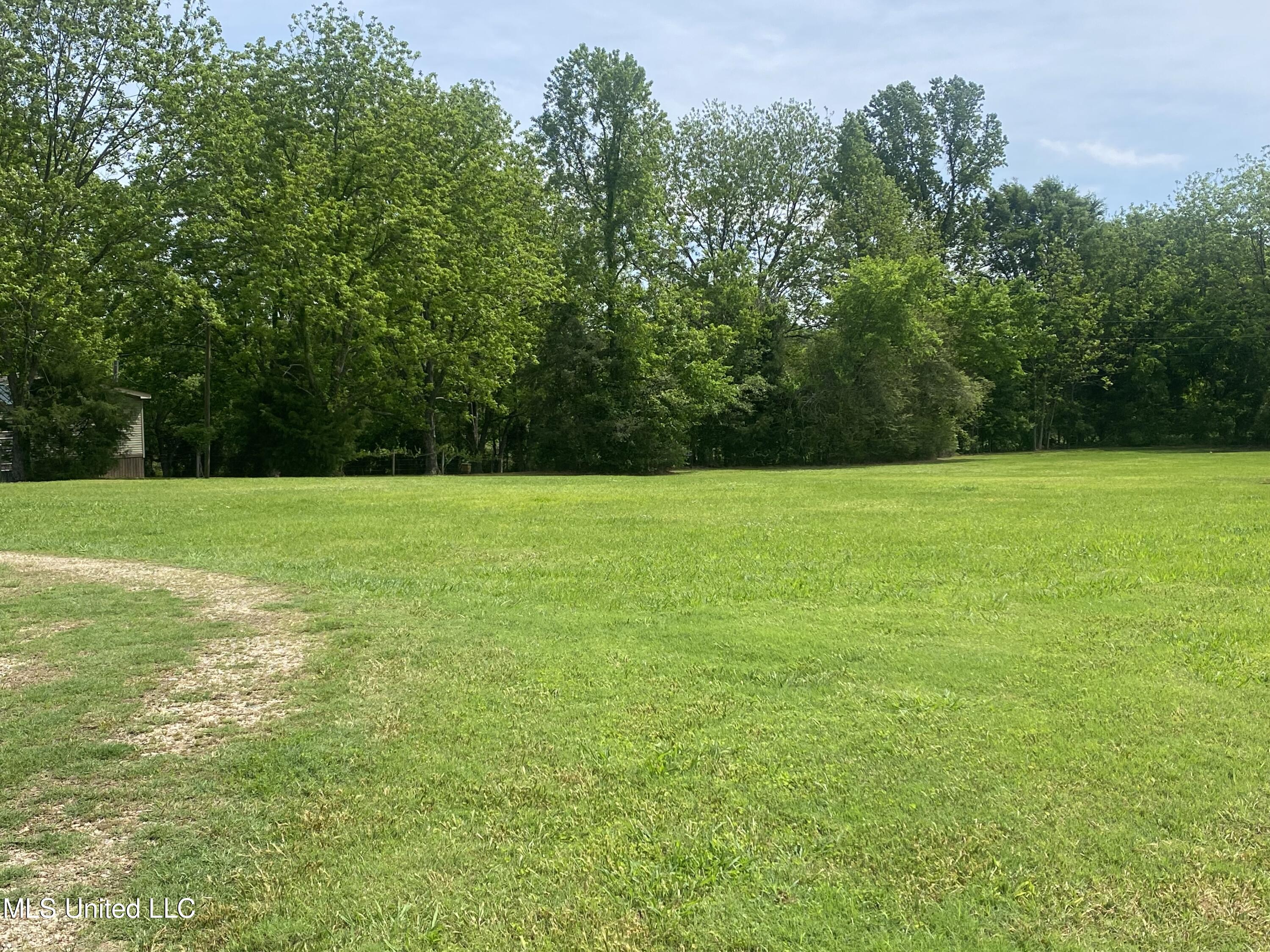 1008 Beatty Road Enid, MS 38927 - Photo 15 of 20 IMG_2490