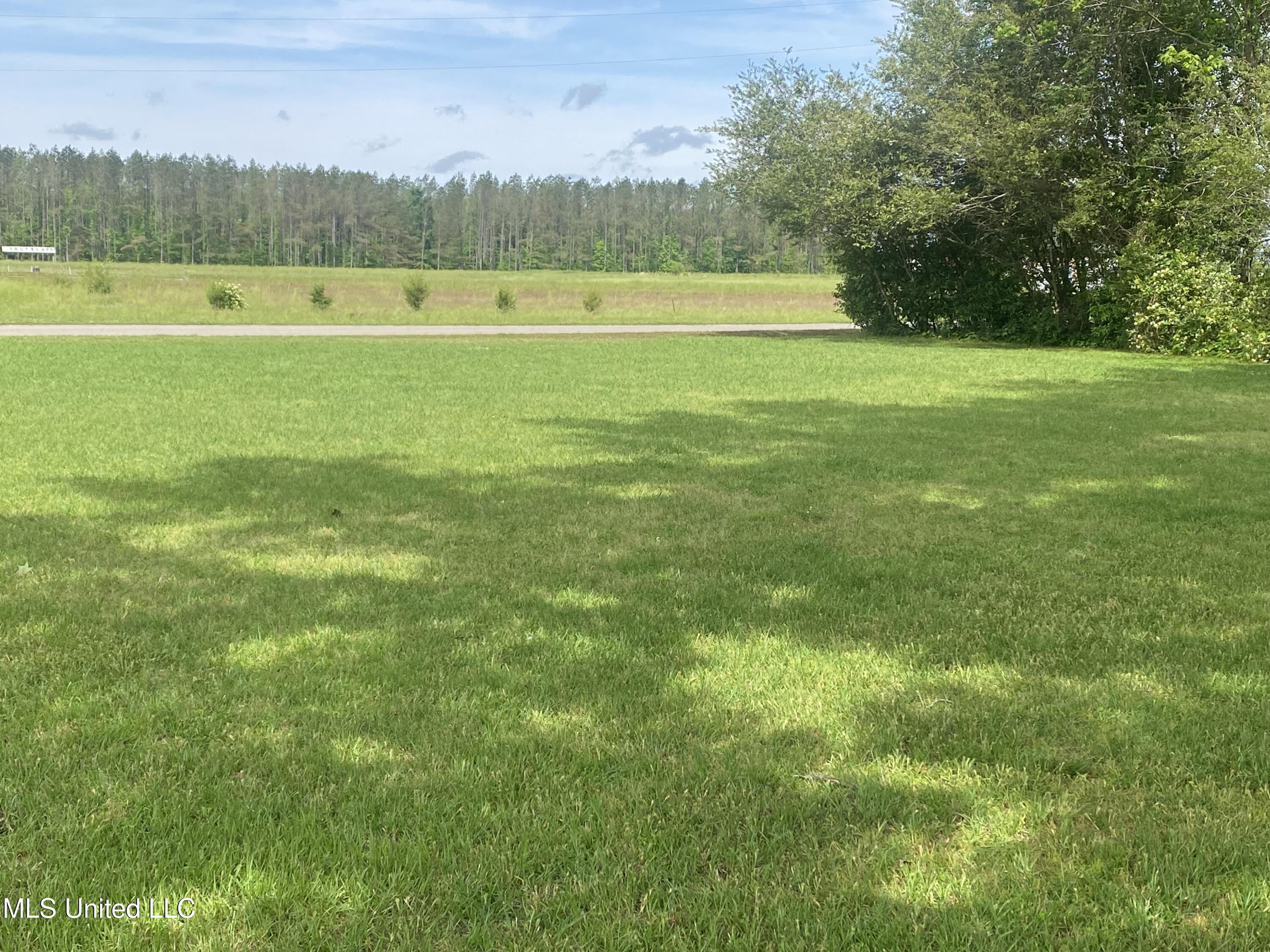 1008 Beatty Road Enid, MS 38927 - Photo 19 of 20 IMG_2486