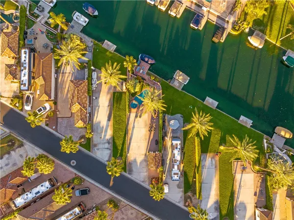 a picture of a flower in a garden