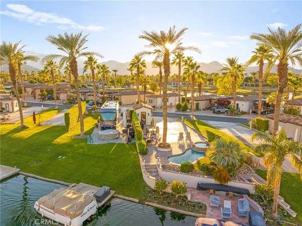 a view of an ocean with a palm tree
