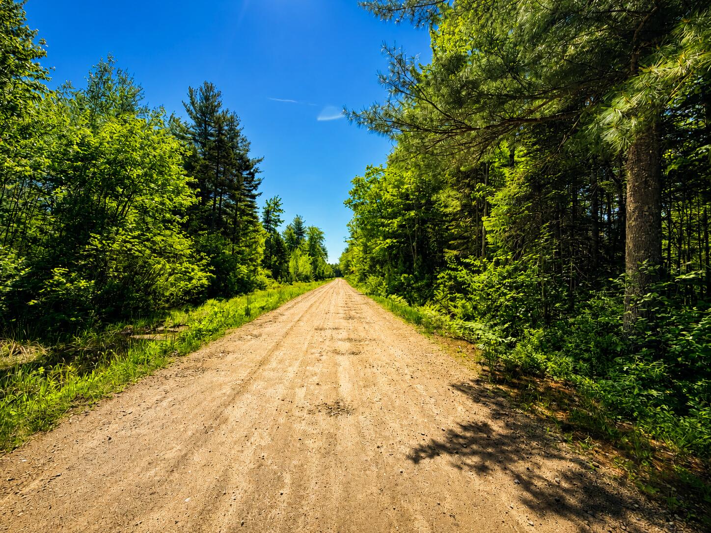 Lot 1 Curtis Road Arundel, ME 04046 - Photo 5 of 6 Road