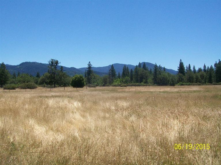 4271 Rockydale Road Cave Junction, OR 97523 - Photo 20 of 35 Love this view. So serene, peaceful. Loo