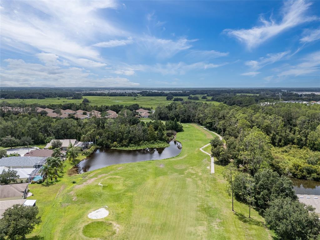 5909 Wedgefield Drive Zephyrhills, FL 33541 - Photo 28 of 54 a view of a garden with mountains in the background