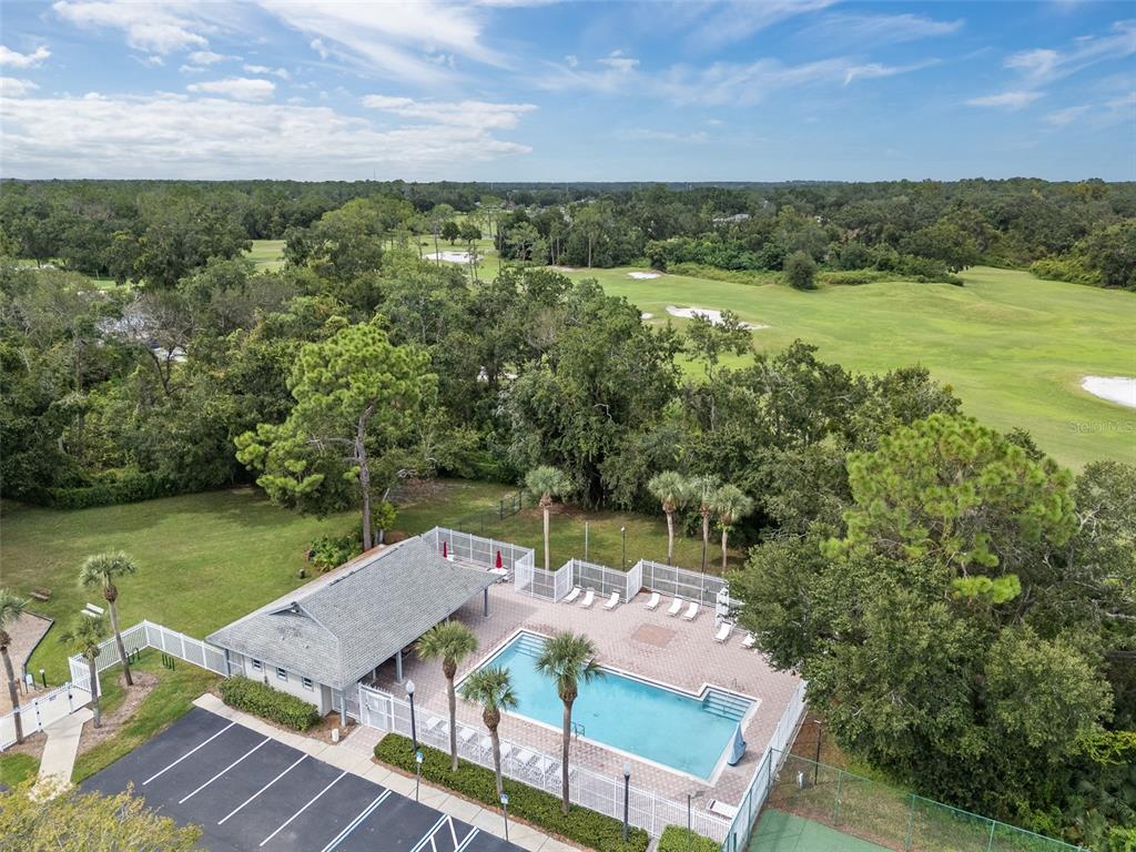 5909 Wedgefield Drive Zephyrhills, FL 33541 - Photo 31 of 54 a view of a yard with furniture